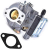 TOPEMAI 693480 Carburetor for Briggs & Stratton 693479 499306 694026 694056 495181 with 394019S Air Filter 394358S Fuel Filter