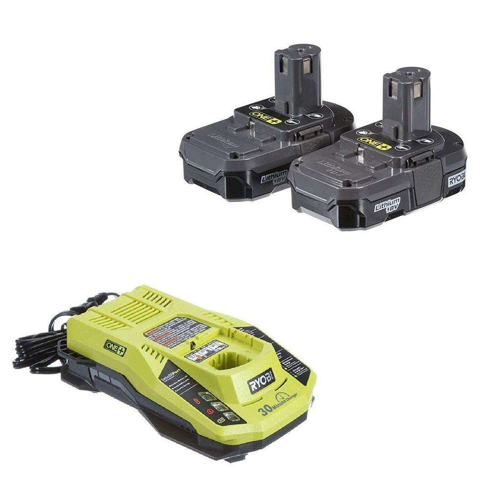 Ryobi 18V P117 Dual Chemistry IntelliPort Charger & Two 18 Volt P102 ONE+ 18-Volt Lithium-Ion Compact Battery (Bulk Packaged) (Renewed)